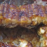 鰻専門店 愛川 - 厚み