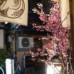 ひとひら - 外に面したカウンター席は季節を感じます。