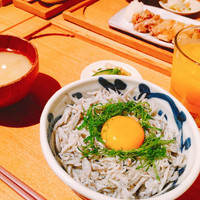 京都石塀小路豆ちゃ 有楽町 - 釜揚げしらすとしその香り丼ぶり¥1,100
