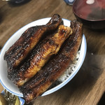 田代 - 一匹半が上鰻丼です♪