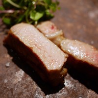 TACUBO - 