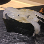 晶 - 10貫目は『白魚』です
      気のせいか月が増すほどネタか大きくなっている気がします