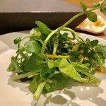 はっこく - 2018.12.  箸休め④ クレソンとケール はっこくドレッシングかけ