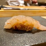 はっこく - 2018.12.  牡丹海老