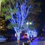 RISTORANTE Orobianco - お店の前の通り