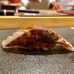 はっこく - 2018.12.  梭子魚