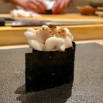 はっこく - 2018.12.  白子