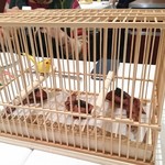 レスト ケイ ヤマウチ - 