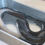 プレゼンテ スギ - 