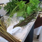 プレゼンテ スギ - 