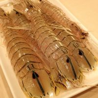 鮨さかもと - 