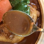 スープカレー店 34 - スープはこんな感じ