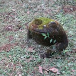 SANKARA HOTEL&SPA 屋久島 - 