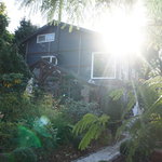 gallery & cafe くらのす - 
