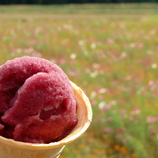 道の駅 風の家_1