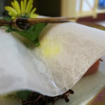 萩城三の丸 北門屋敷 - 