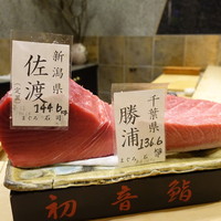 初音鮨 - 