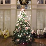 アッシュ - ロビーの雰囲気