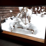 和三條 かた岡 - 雪が積もった中庭