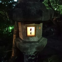 未在 - 