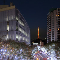 フィオレンティーナ - 東京タワーとライトアップ