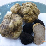 ウンブリア産白トリュフ、マルケ産白トリュフ、神奈川県産黒トリュフ