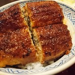 炭焼うな富士 - うなぎ丼のアップ