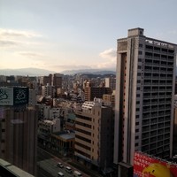 千羽鶴 - 