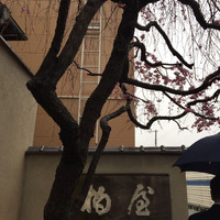 柏屋 大阪千里山 - 