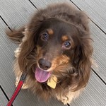 スターバックスコーヒー - 