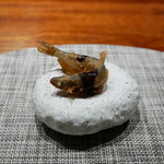 コントワール フー - 