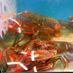 サムズ アンカーイン - 美ら海よりも美味しそうな水槽