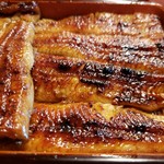 うなぎ 桜家 - 
