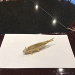 京都祇園 天ぷら八坂圓堂 - 