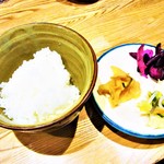 はてなのちゃわん - 