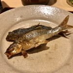 銀座 しのはら - 本諸子の炭火焼き 木の芽酢で2