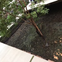 貴船喜らく - 