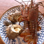 伊勢エビ　さざえ