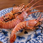 伊勢エビ焼けました