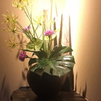 十二社通り 地鶏焼とりや - 