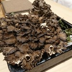 津の守坂 小柴 - 