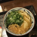 Marugame Seimen - かけうどん並