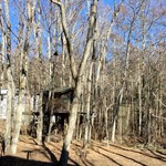 GROVE CAFE - 窓からの風景