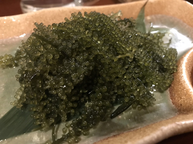 平子茂
