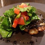 ステラ カデンテ - 琵琶湖産天然鰻！