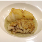 ステラ カデンテ - 真鱈  雲子  菊芋