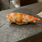 鮨みやもと - 車海老