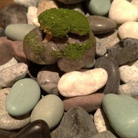ルカンケ - 