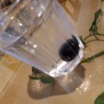 フルーツカフェ タマル - ブドウ入りのお水