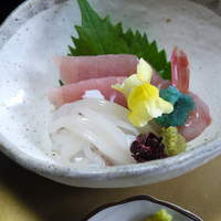 せい月 - お造り